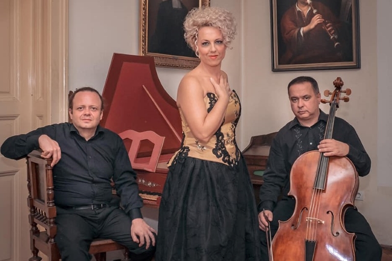 Ansambl Camerata Garestin